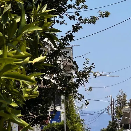 Sotiris Mandarin House