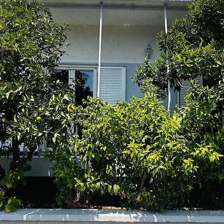 Sotiris Mandarin House Apartment Diakopto