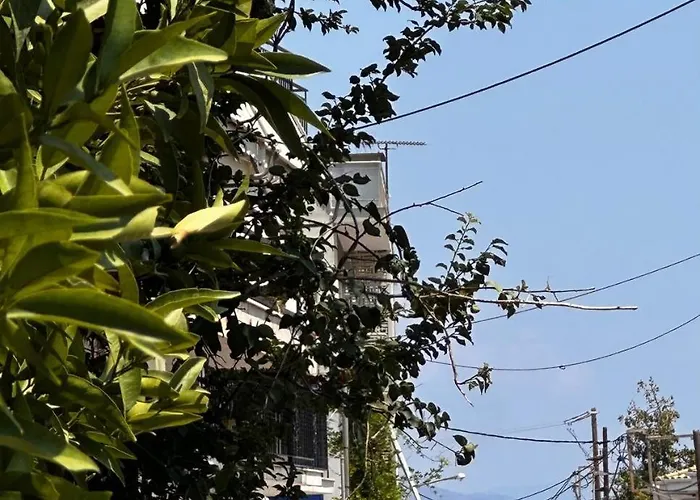 Sotiris Mandarin House