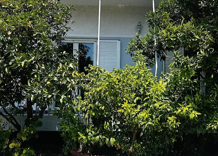 Sotiris Mandarin House Apartman Diakoptó